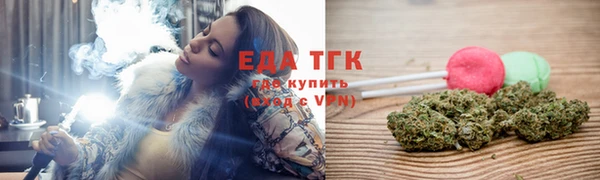 МДПВ Ельня