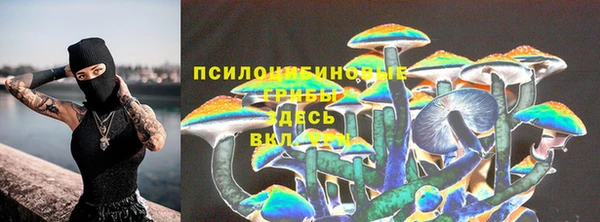 spice Армянск