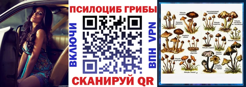 магазин  наркотиков  Елабуга  MEGA маркетплейс  Галлюциногенные грибы мицелий 